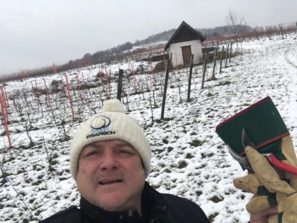 Super der Schnee zum schneiden im Weingarten 10.01.2019