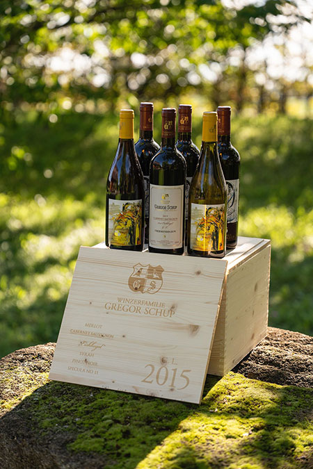 Jahrgangskollektion-2015